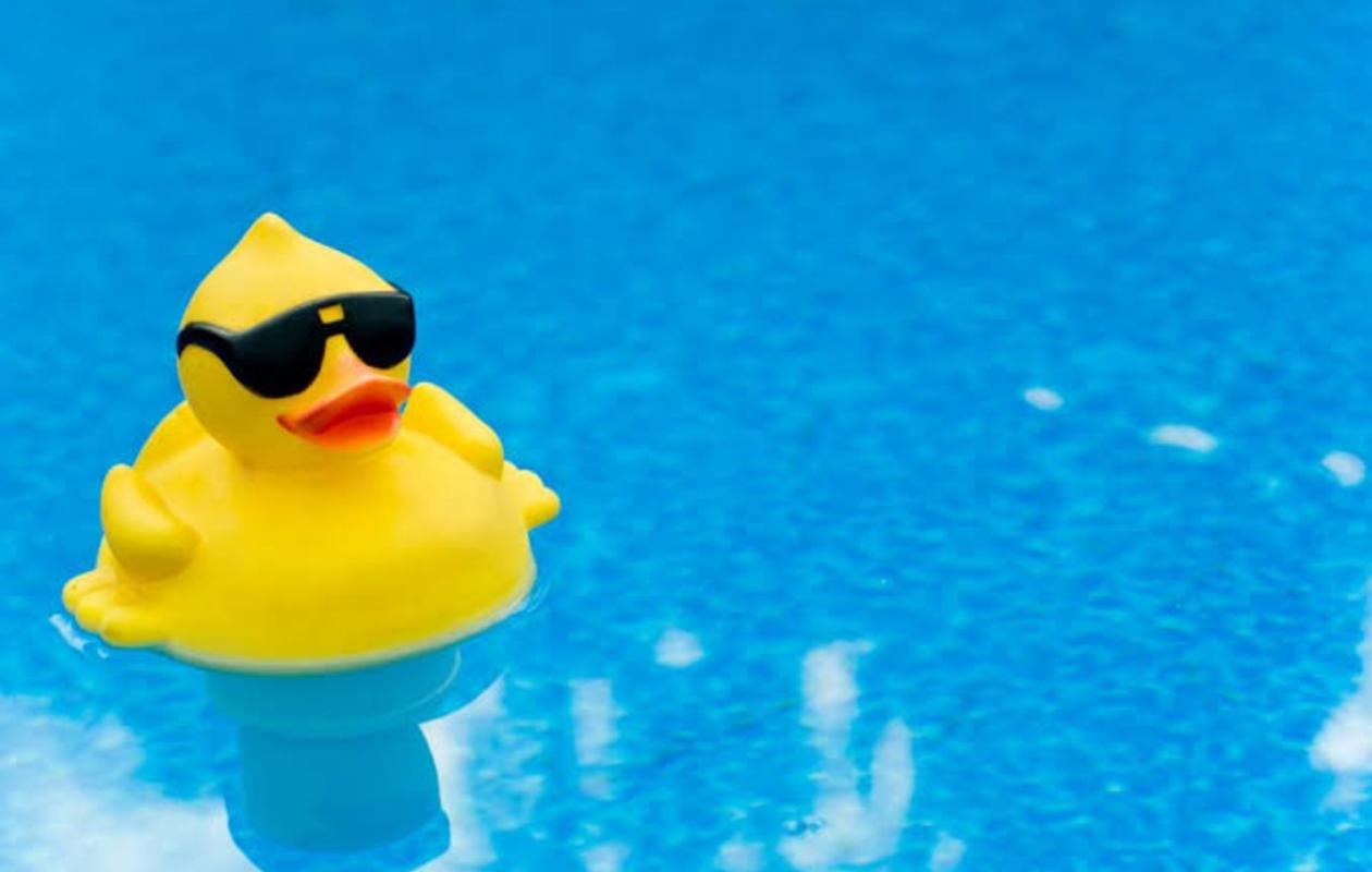 Rubber duck in pool